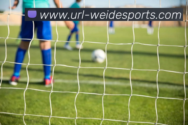 韦德体育品牌故事