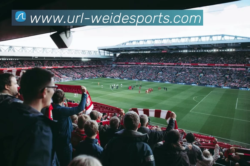 韦德体育服务体系